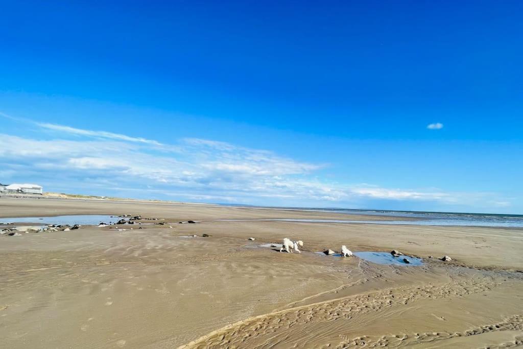 2 Bedroom Holiday Home In The Heart Of West Wales Сейнт Клиърс Екстериор снимка